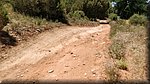 2019-06-06_13-58-50.jpg