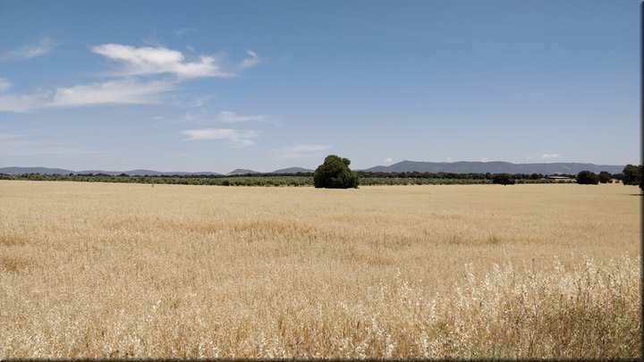 2019-06-08_13-01-19.jpg
