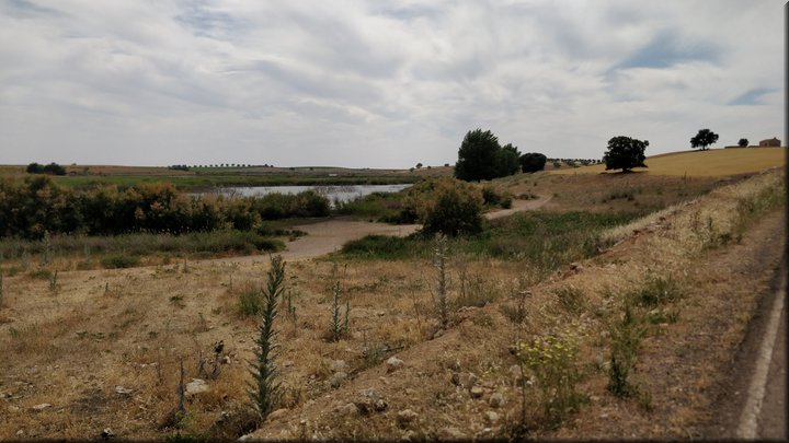 2019-06-08_16-44-16.jpg
