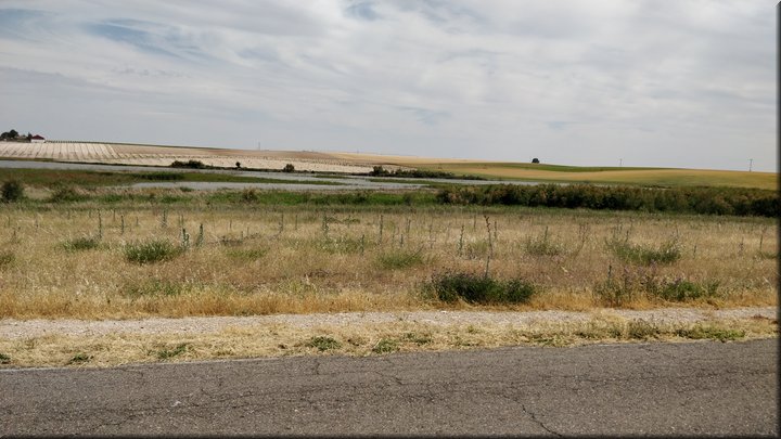 2019-06-08_16-54-15.jpg