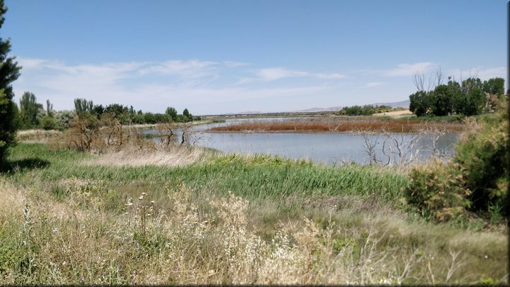 3 Tablas de Daimiel.jpg