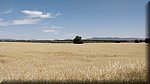 2019-06-08_13-01-19.jpg