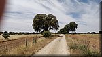 2019-06-08_13-26-53.jpg