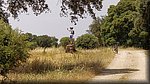 2019-06-08_13-27-06.jpg