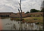 2019-06-08_17-00-29.jpg