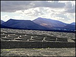 P1010069-0.jpg