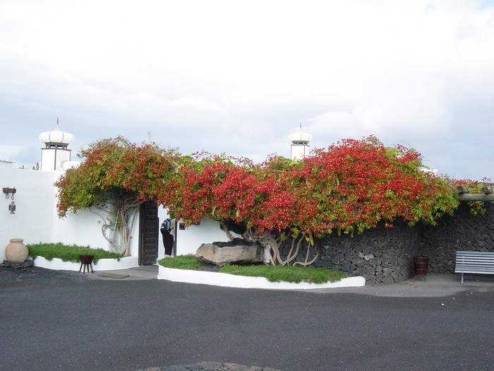 Casa-Cesar-Manrique-3865.JPG