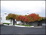 Casa-Cesar-Manrique-3865.JPG