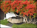 Casa-Cesar-Manrique-3868.JPG