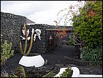 Casa-Cesar-Manrique-3869.JPG