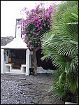 Casa-Cesar-Manrique-3890.JPG