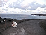 Hervidero-10047.JPG