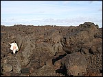 Hervidero-10102.JPG