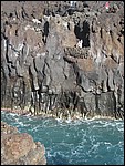 Hervidero-10104.JPG