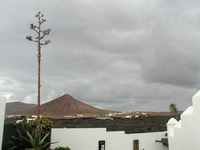 Jameos-del-Agua-14_0054.JPG