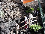 Jameos-del-Agua-05-3904.JPG