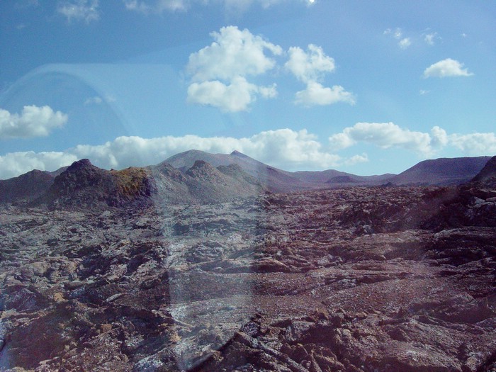 DSC03950-0.jpg