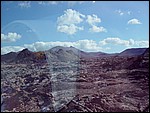 DSC03950-0.jpg