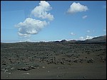 DSC03951.JPG