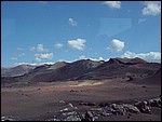 DSC03952-0.jpg