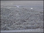 DSC03987.JPG