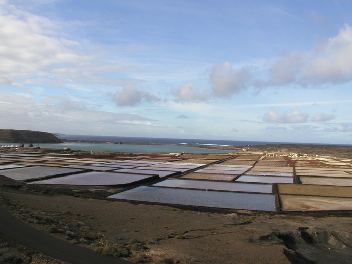 Salinas-Janubio-10095.JPG