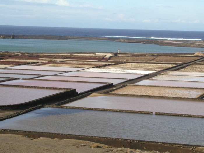Salinas-Janubio-10096.JPG
