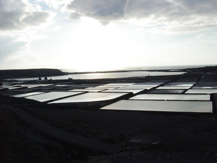 Salinas-Janubio-3994.JPG