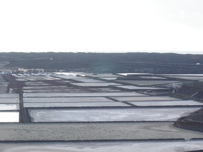 Salinas-Janubio-3995.JPG