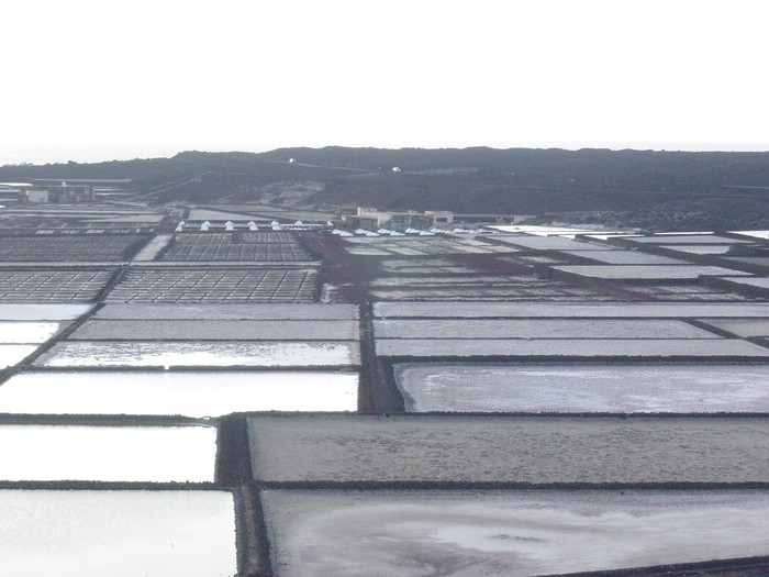 Salinas-Janubio-3996.JPG