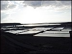 Salinas-Janubio-3994.JPG
