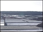 Salinas-Janubio-3995.JPG