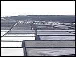 Salinas-Janubio-3996.JPG