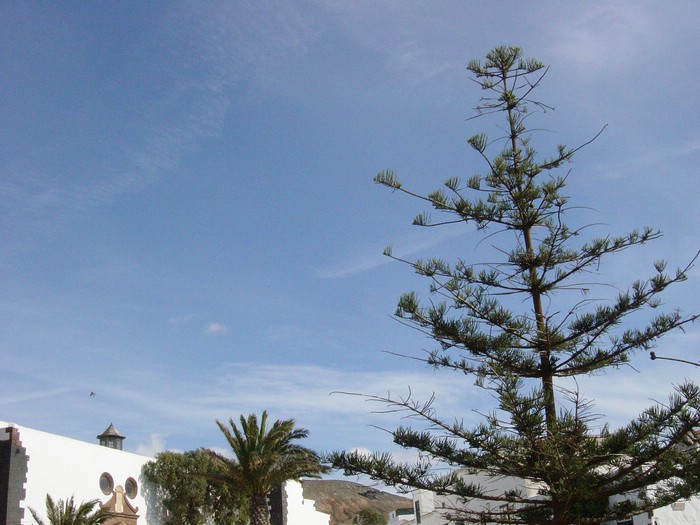 Teguise-4083.JPG
