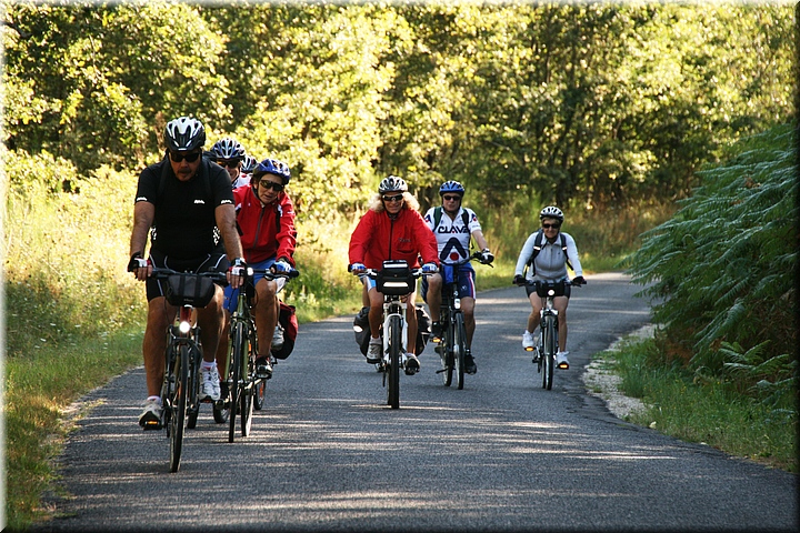 01600-Camino de Nouan-sur-Loire.JPG