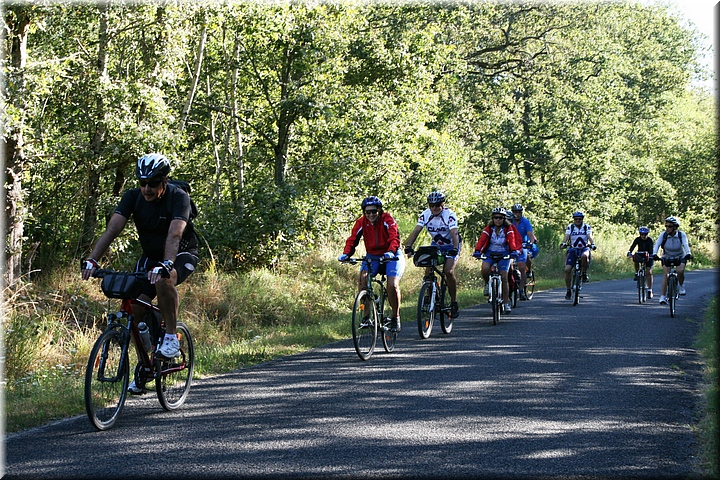 01610-Camino de Nouan-sur-Loire.JPG