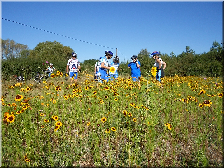 01720 Entre flores.JPG