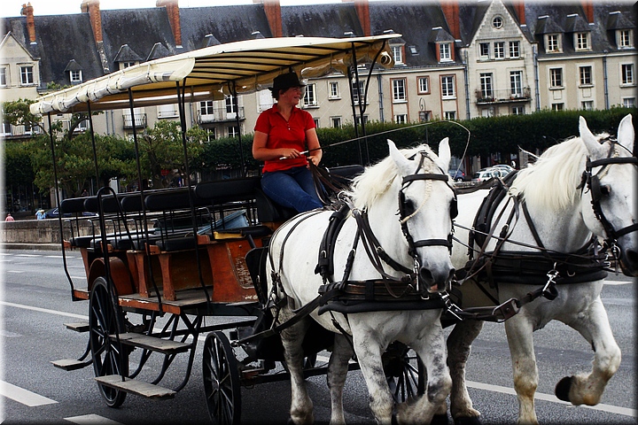 04200 Blois - Mademoiselle des chevaux.JPG