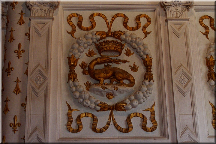 11700 Cht Chenonceau .JPG
