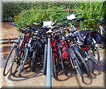 08410 Bicis en Cht Chenonceau.JPG