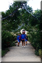 145000 Cht Cheverny - Jardines.JPG