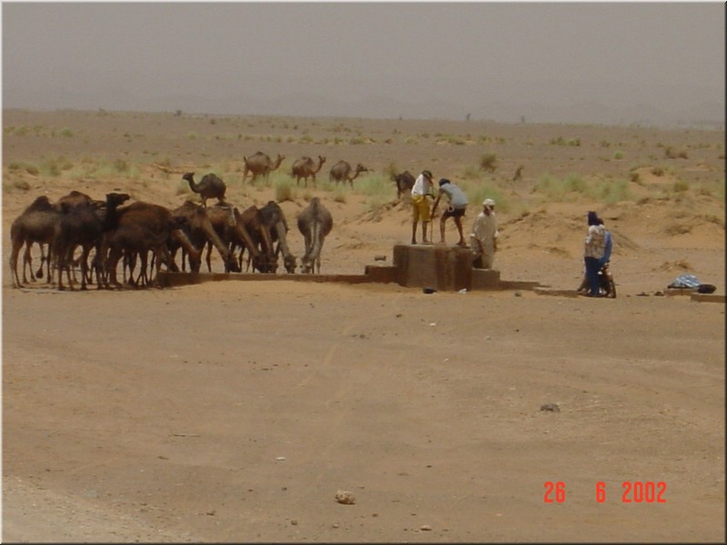 310-Atlas&Desierto 095.jpg