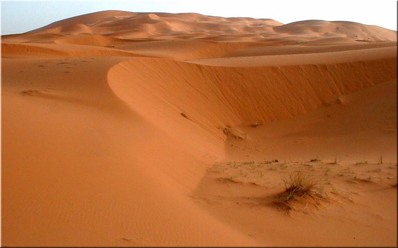 312-Atlas&Desierto 072a.jpg
