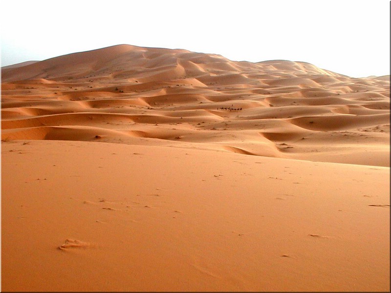 313-Atlas&Desierto 072b.jpg
