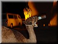 340-Atlas&Desierto 115.jpg