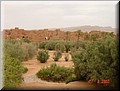 360-Atlas&Desierto 123.jpg