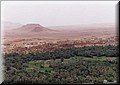 391-File0016.jpg