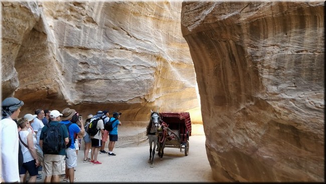 3-12-Petra.jpg