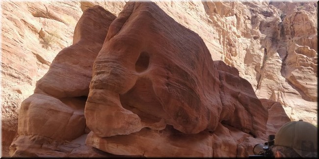 3-22-Petra.jpg