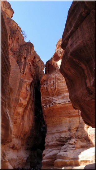 3-27-Petra.jpg